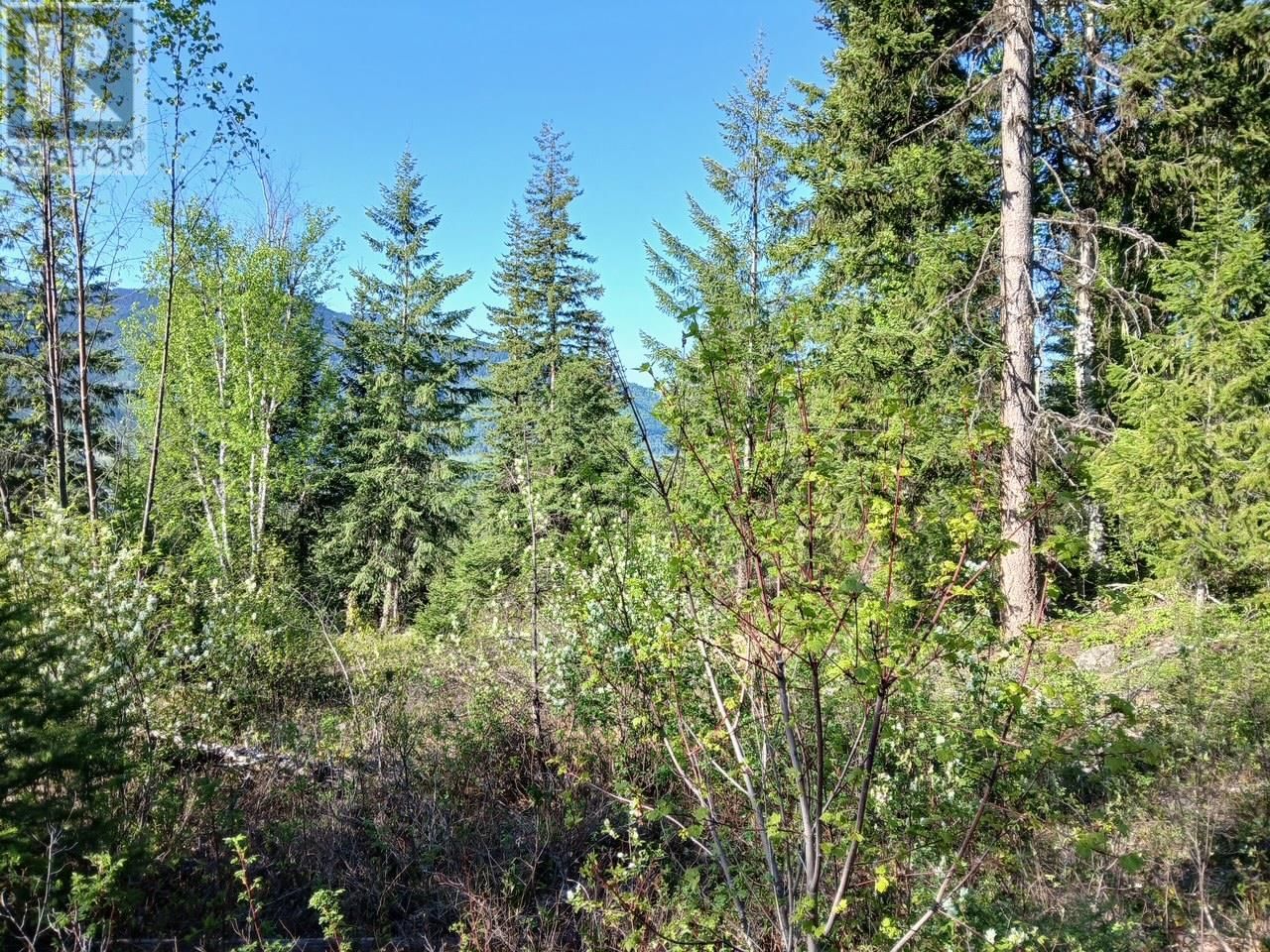 Lot 2 CANDLE CREEK ROAD Image 20