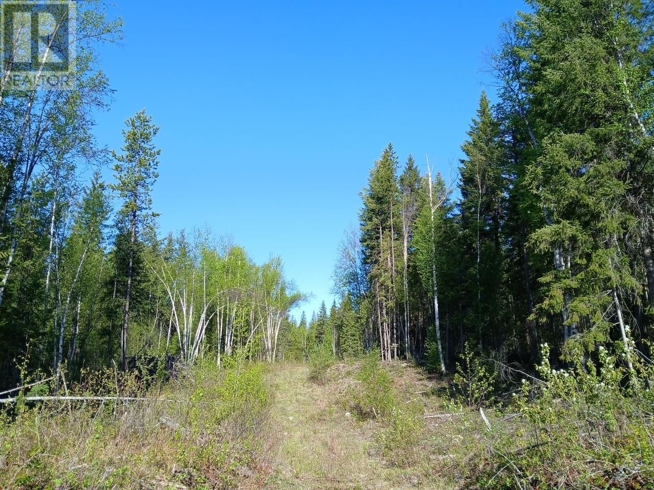 Lot 2 CANDLE CREEK ROAD Image 22