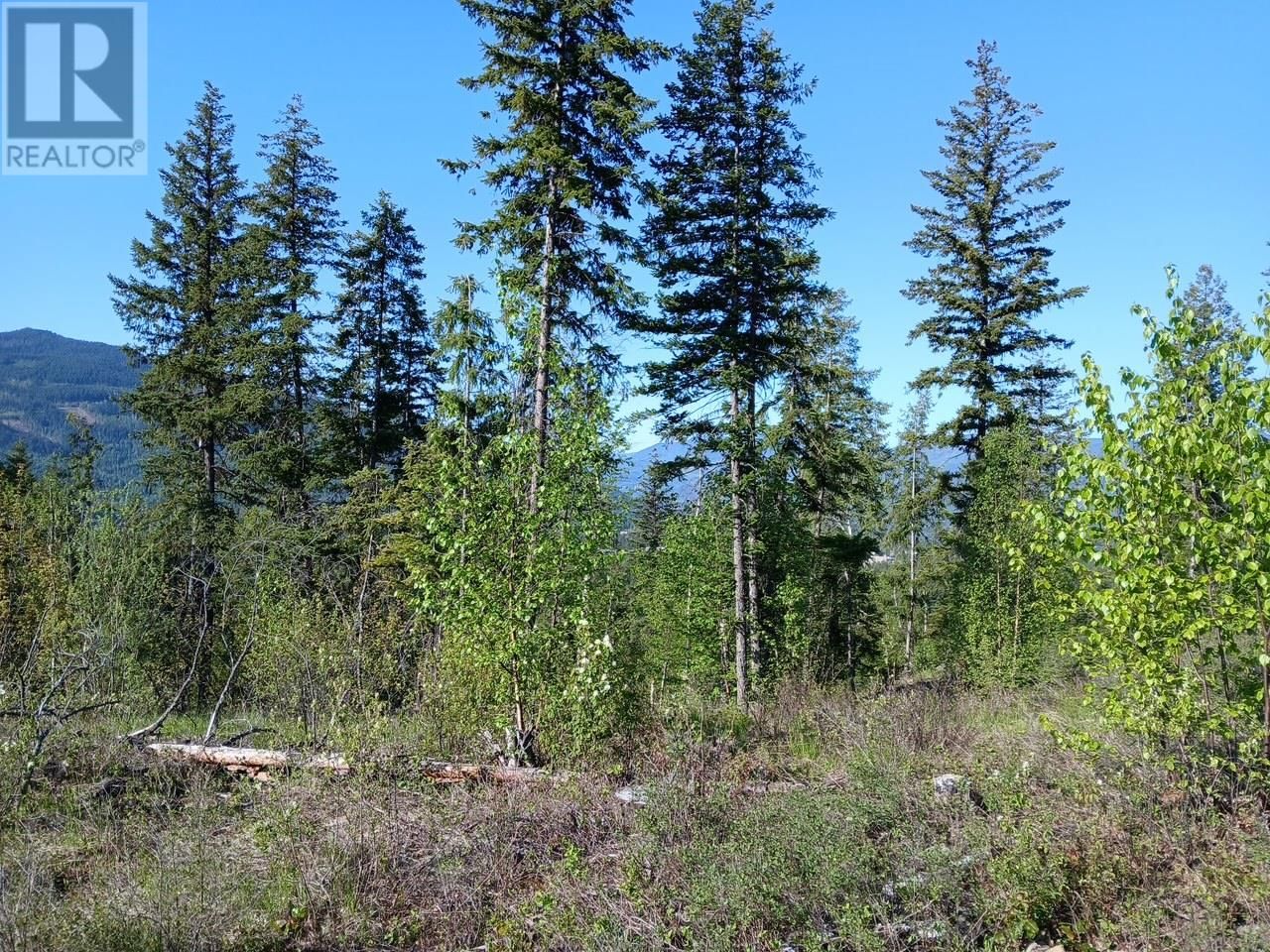 Lot 2 CANDLE CREEK ROAD Image 24