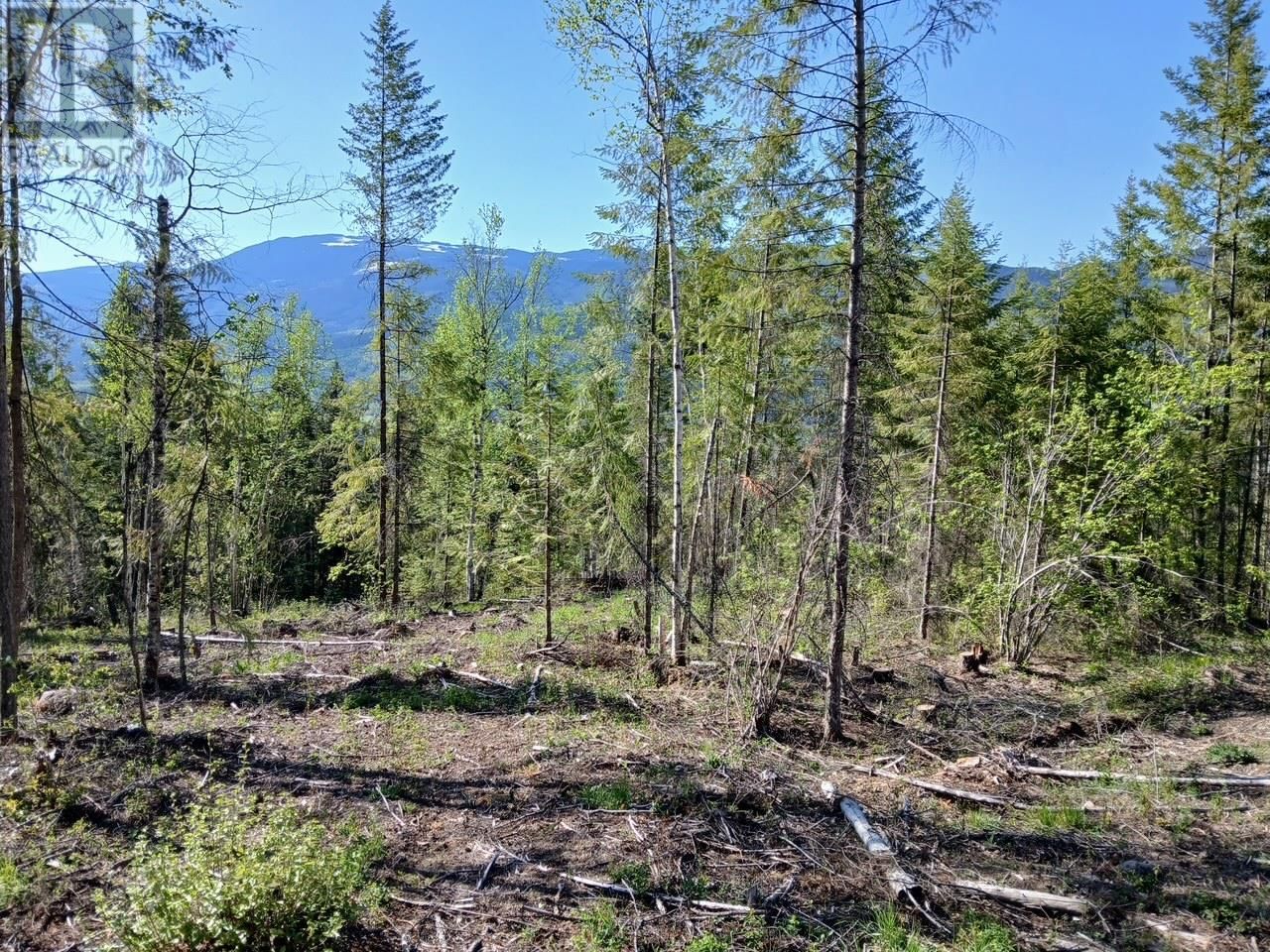 Lot 2 CANDLE CREEK ROAD Image 26