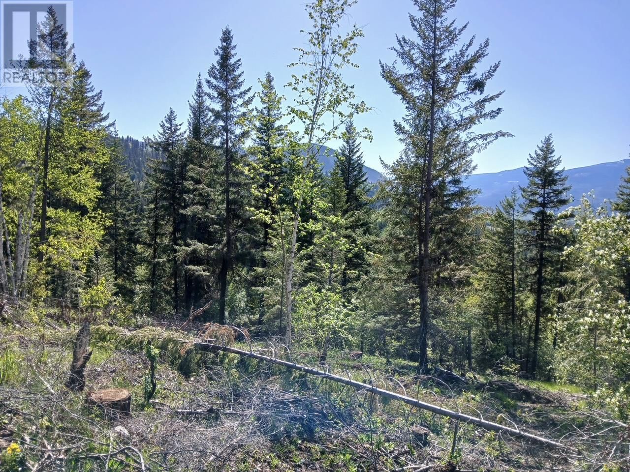 Lot 2 CANDLE CREEK ROAD Image 29