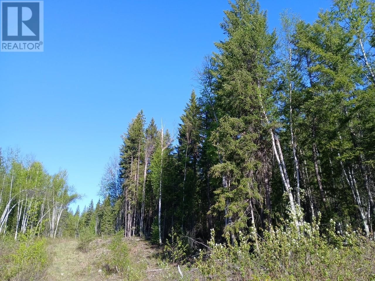 Lot 2 CANDLE CREEK ROAD Image 35