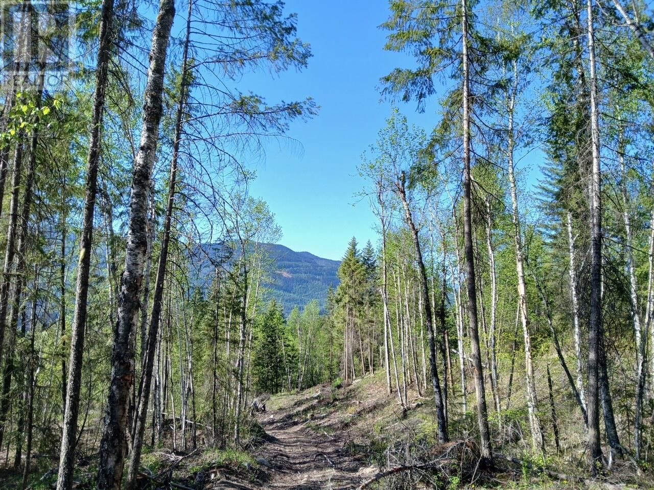 Lot 2 CANDLE CREEK ROAD Image 37