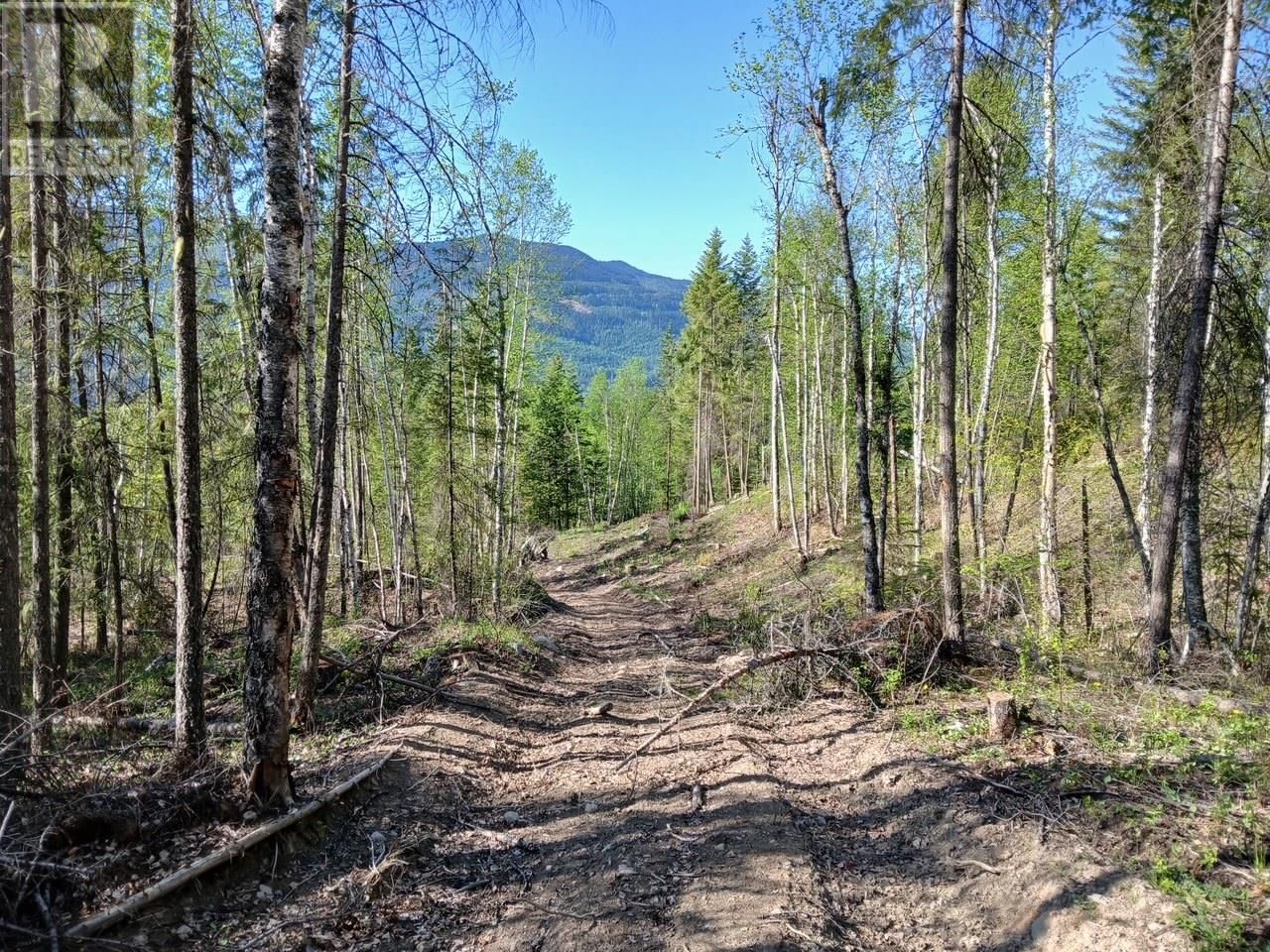 Lot 2 CANDLE CREEK ROAD Image 38