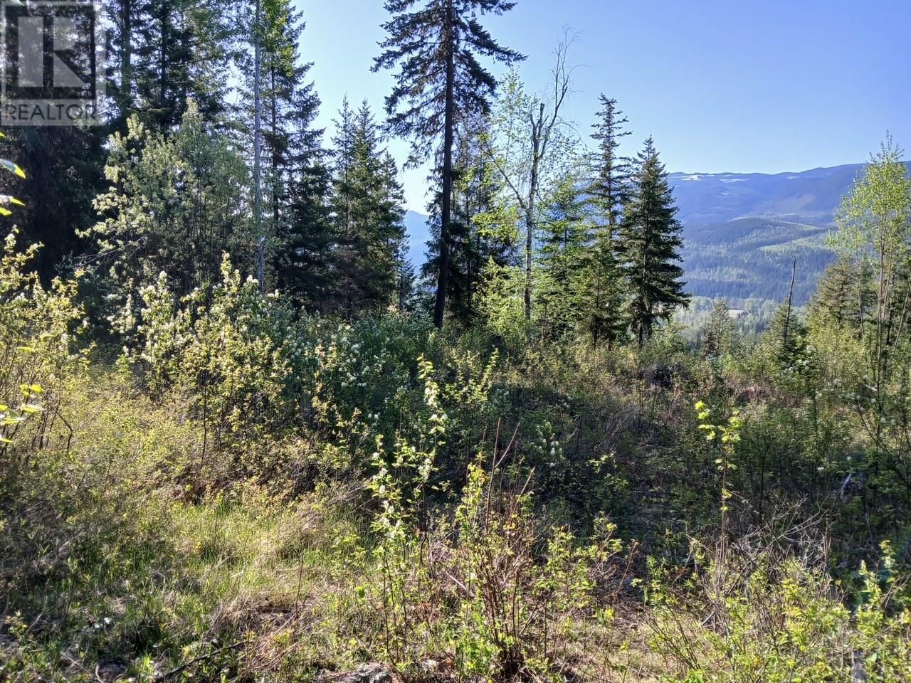 Lot 2 CANDLE CREEK ROAD Image 42