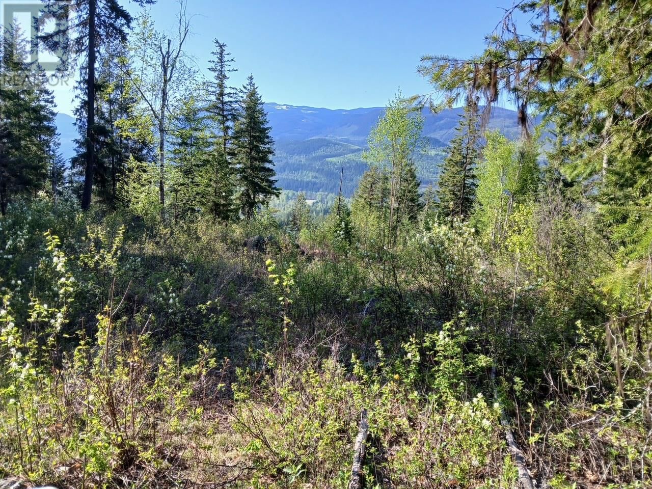 Lot 2 CANDLE CREEK ROAD Image 43