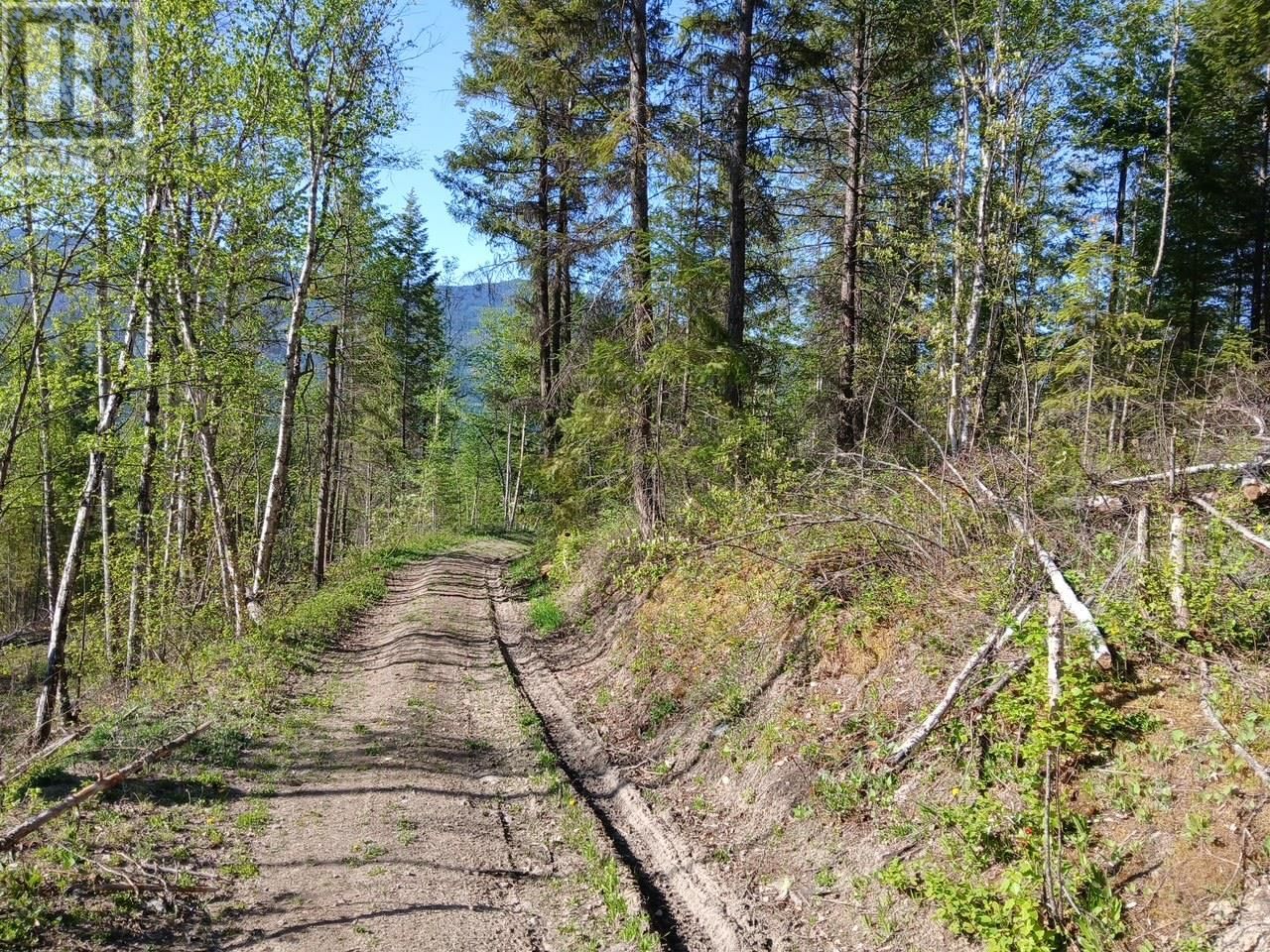 Lot 2 CANDLE CREEK ROAD Image 44
