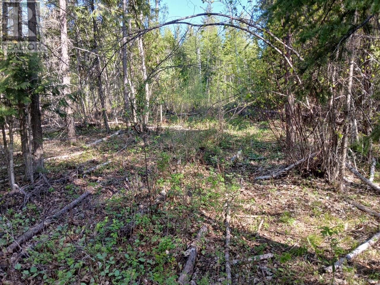 Lot 2 CANDLE CREEK ROAD Image 46