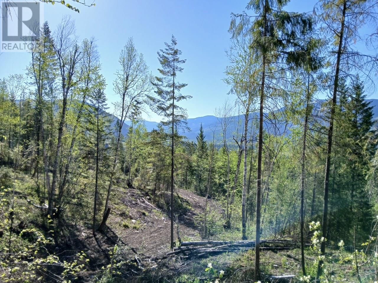 Lot 2 CANDLE CREEK ROAD Image 48