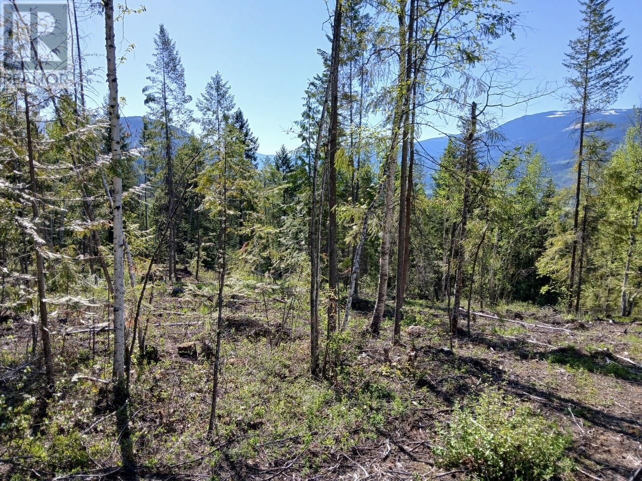 Lot 2 CANDLE CREEK ROAD Image 49