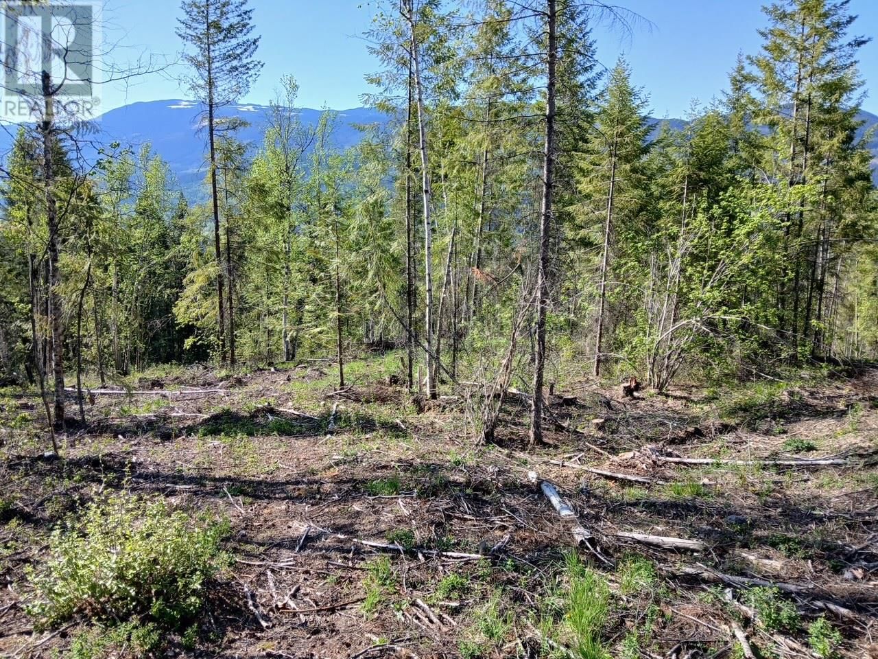 Lot 2 CANDLE CREEK ROAD Image 53