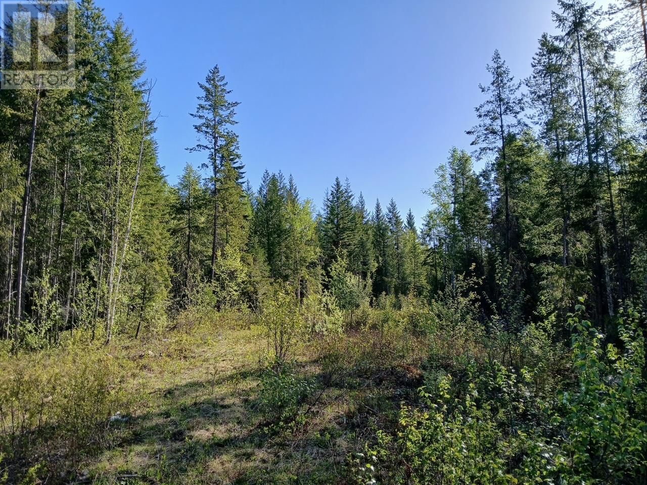Lot 2 CANDLE CREEK ROAD Image 54