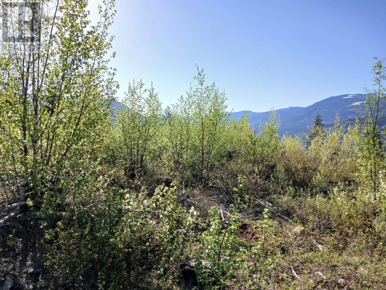 Lot 2 CANDLE CREEK ROAD Image 57