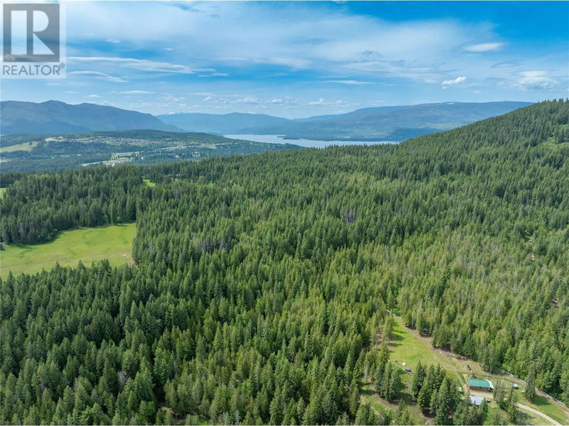 Tertiary Property View