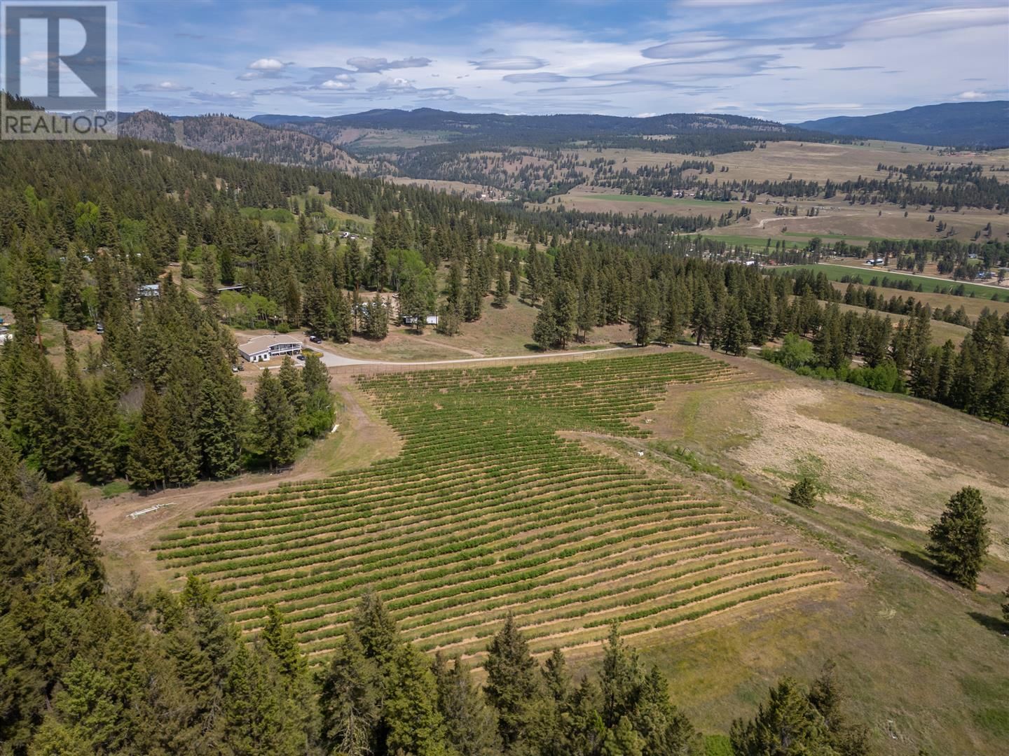 Primary Property View