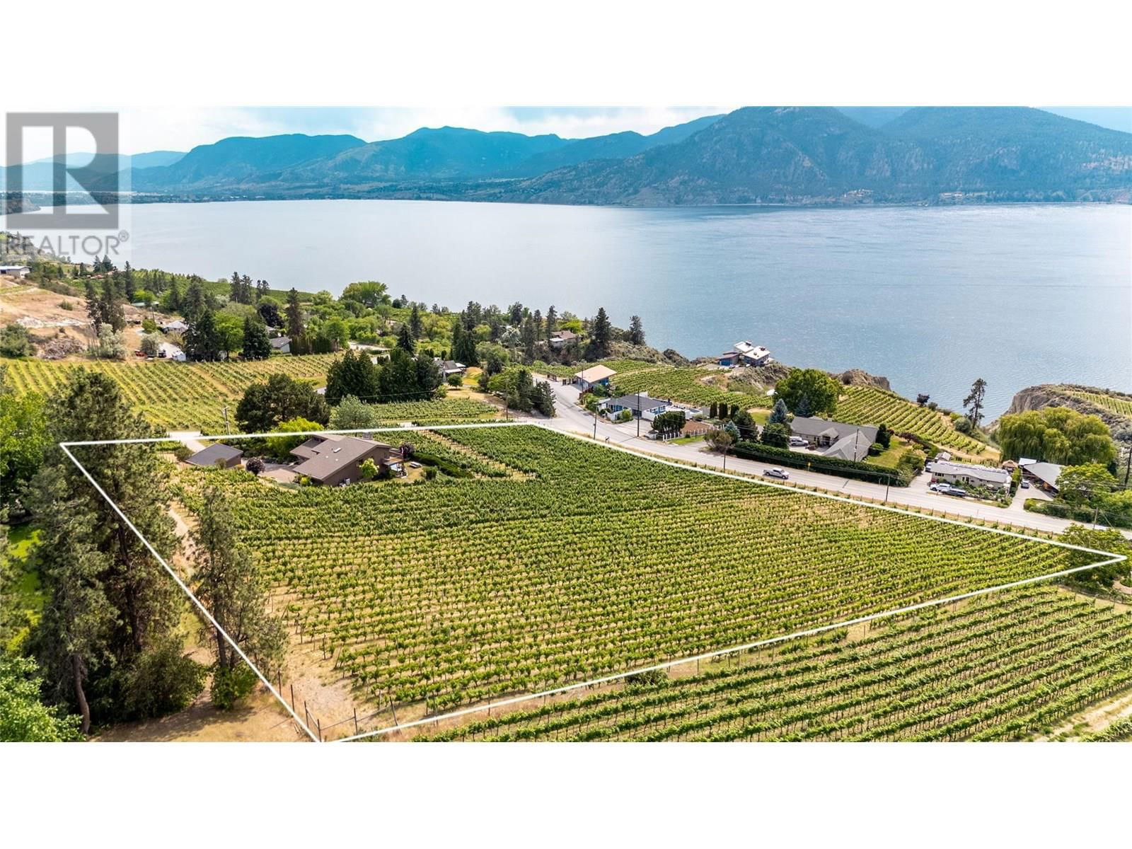 Primary Property View