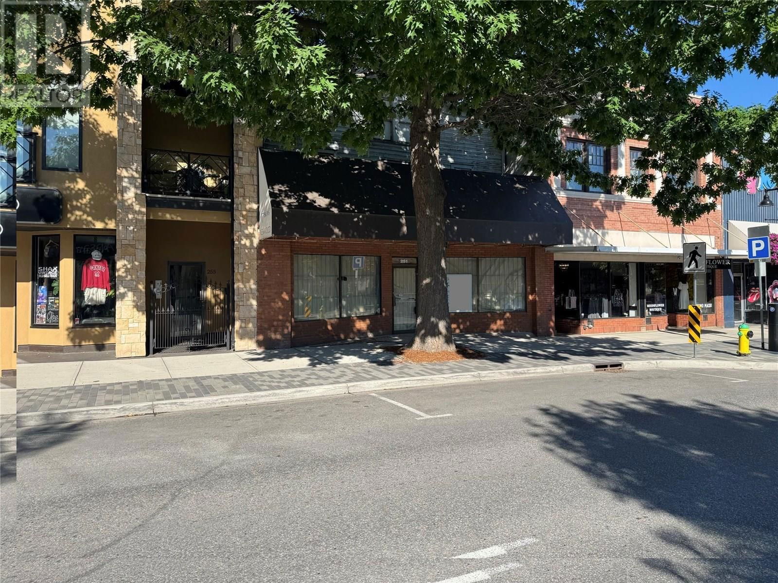 251 MAIN STREET Image 7