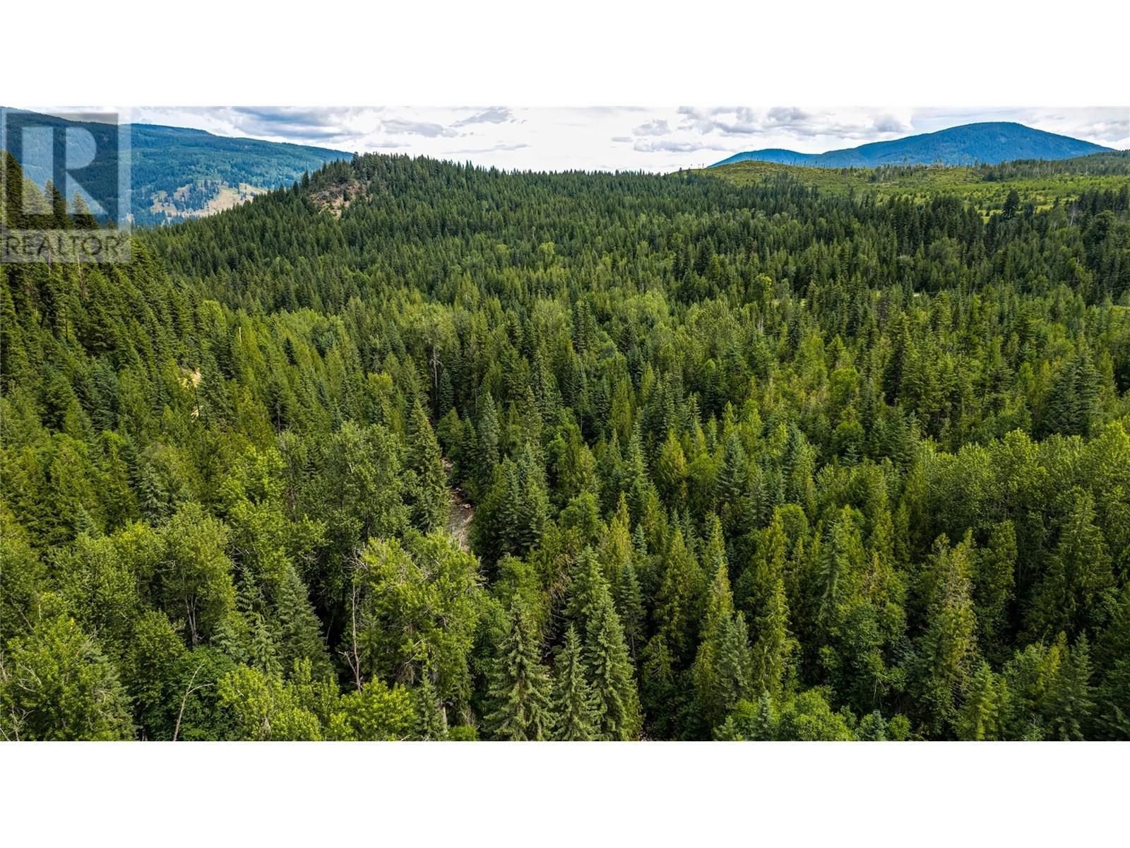 00 RICHLANDS ROAD Image 26