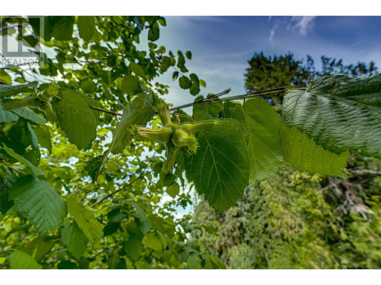 00 RICHLANDS ROAD Image 33