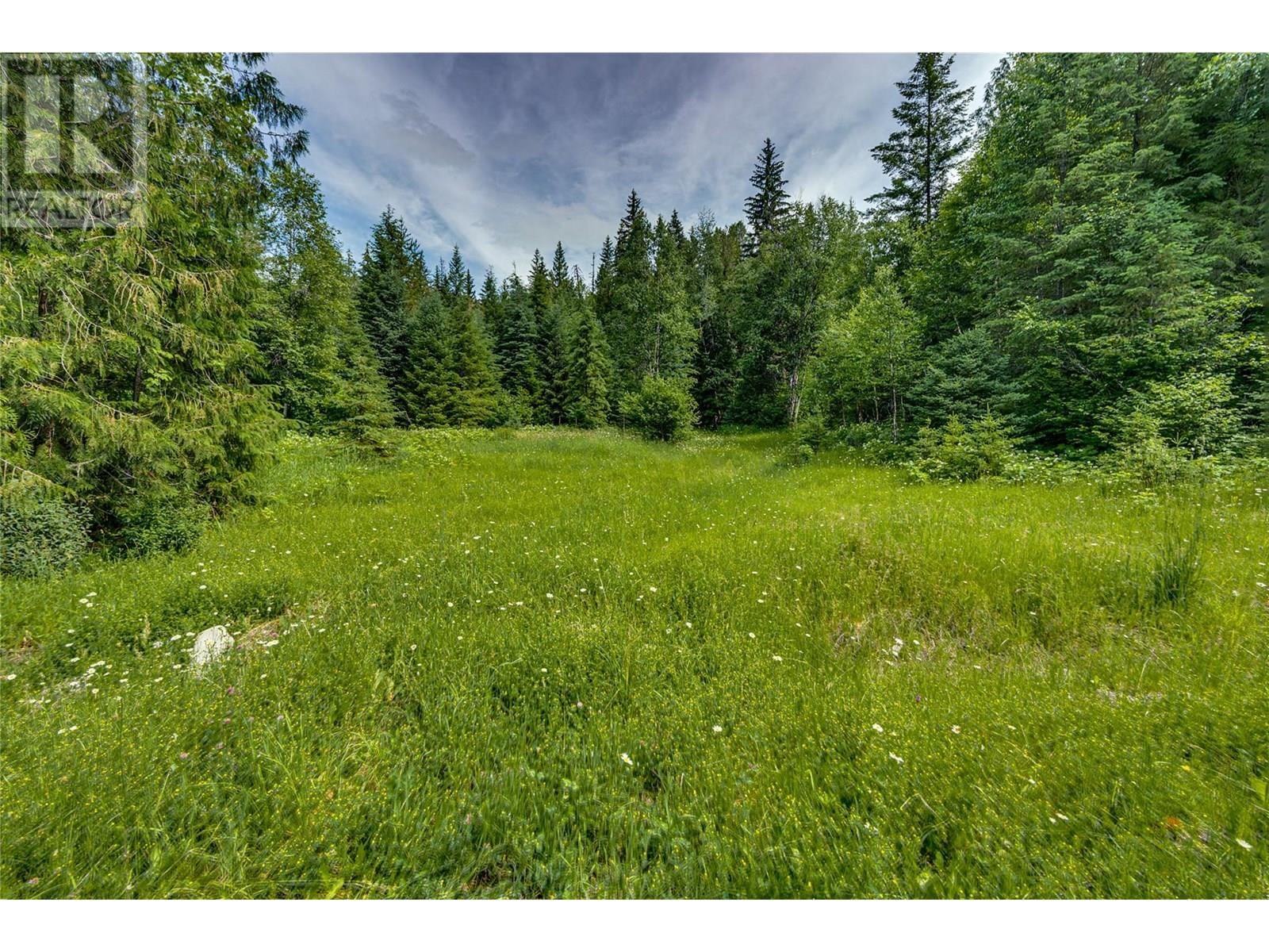 00 RICHLANDS ROAD Image 35