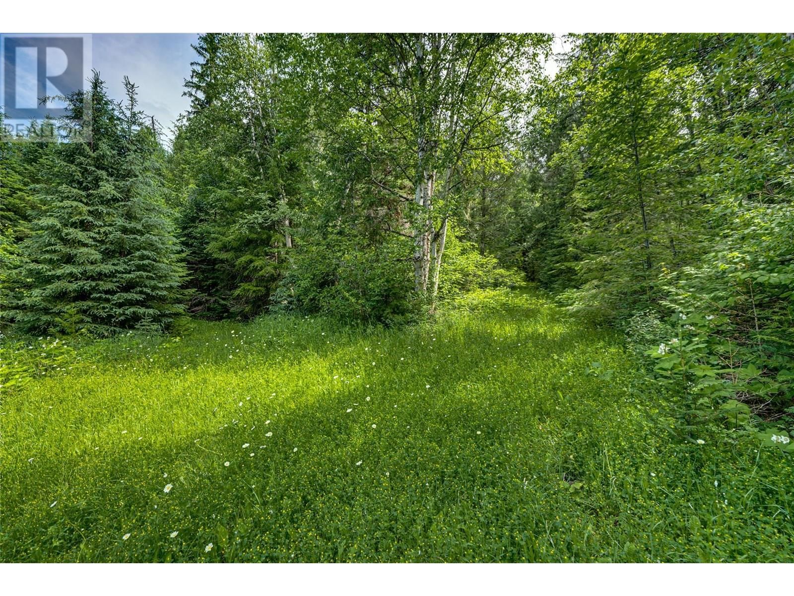 00 RICHLANDS ROAD Image 36