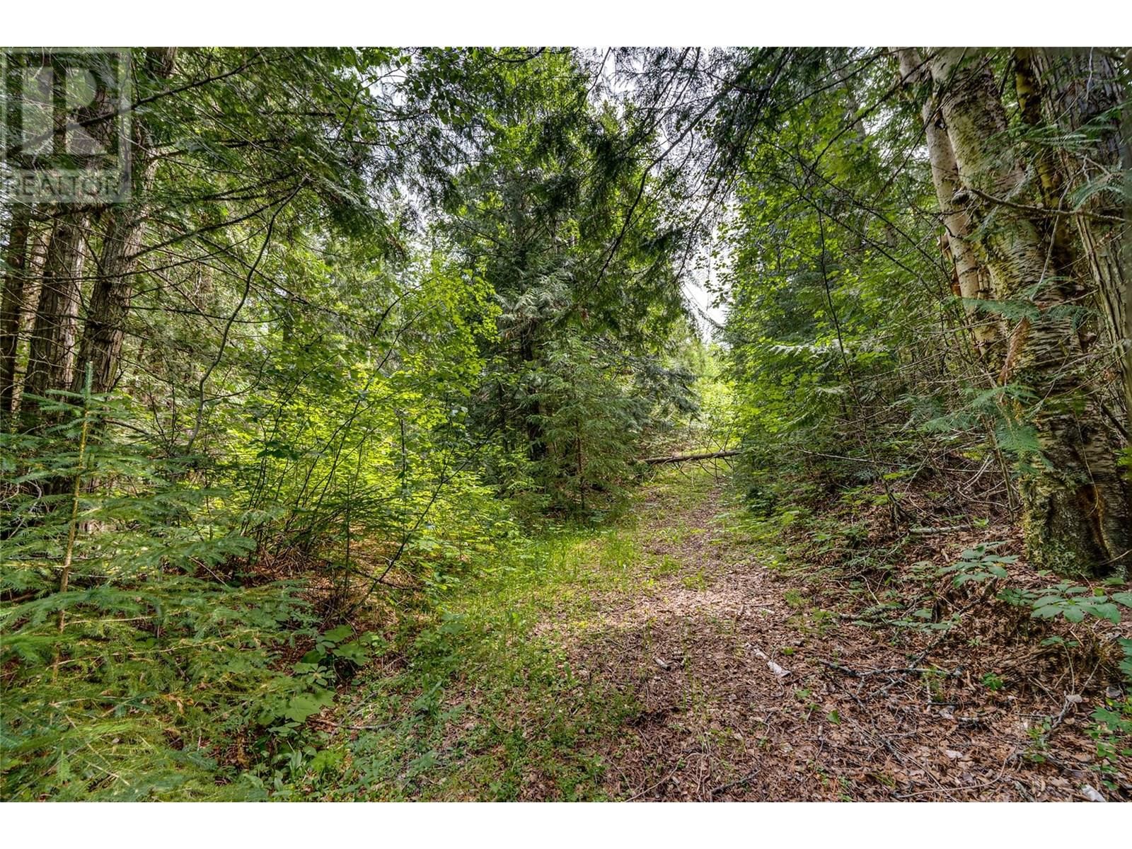 00 RICHLANDS ROAD Image 38