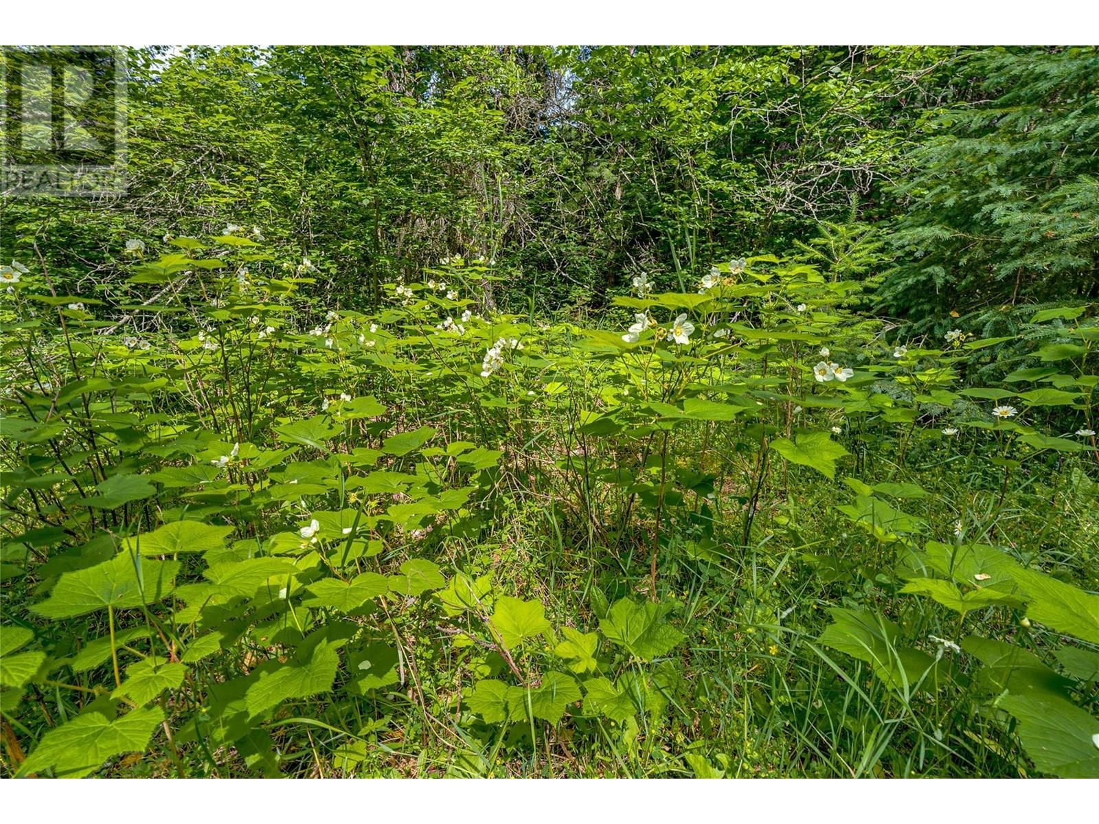 00 RICHLANDS ROAD Image 39