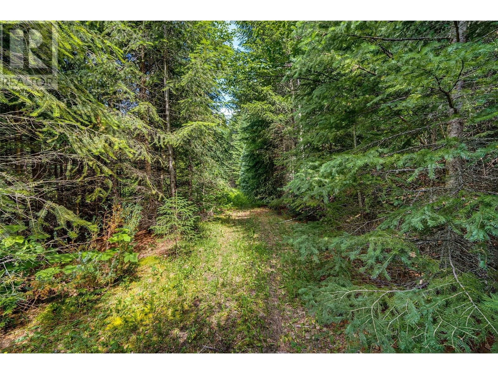 00 RICHLANDS ROAD Image 40