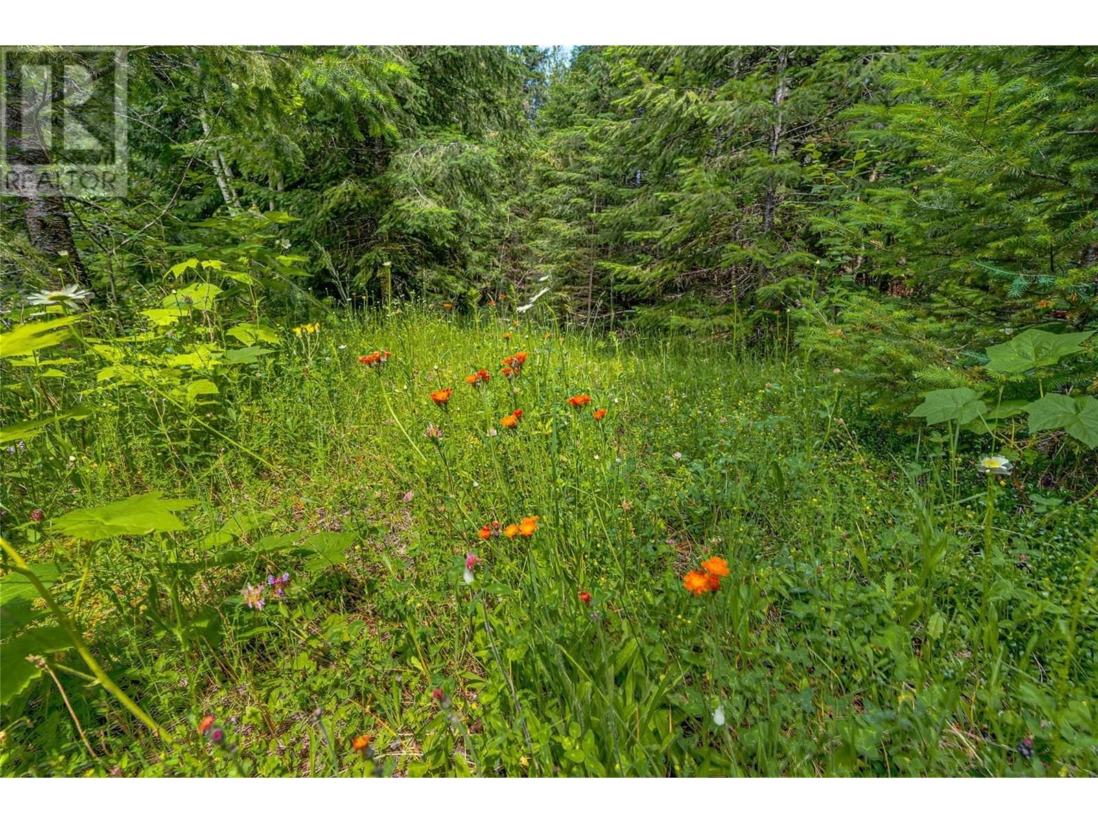 00 RICHLANDS ROAD Image 41