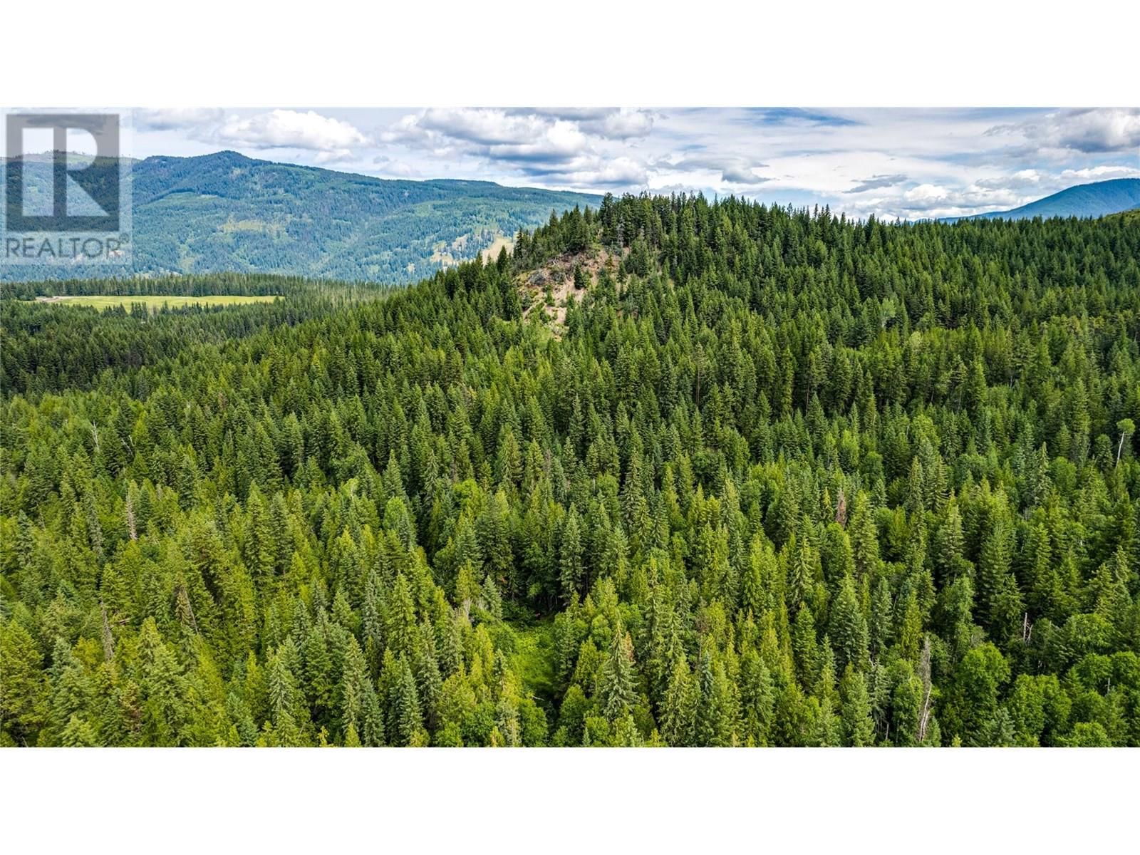 00 RICHLANDS ROAD Image 9