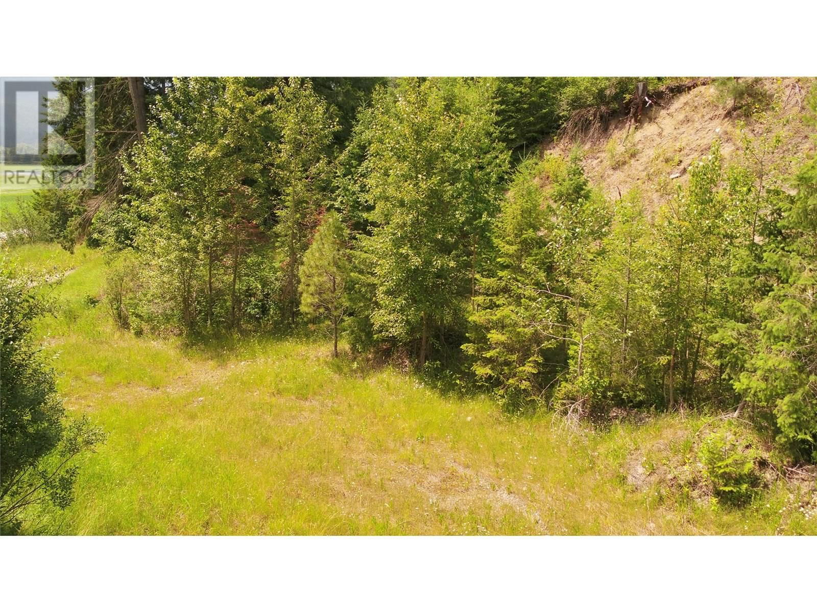 1477 ENDERBY MABEL LAKE ROAD Image 28
