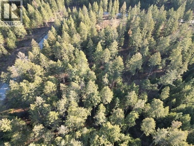 Lot 1 Caitlin Road | Christina Lake British Columbia | Slide Image Seven
