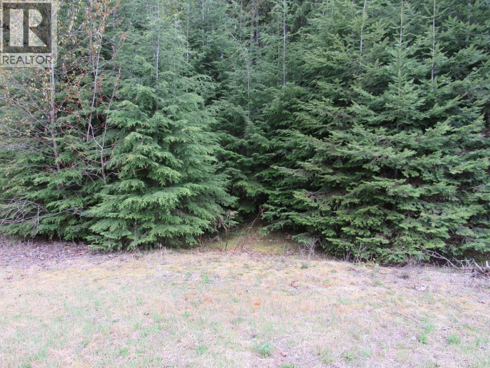 Lot B 3 Highway, Salmo, British Columbia V0G 1Z0