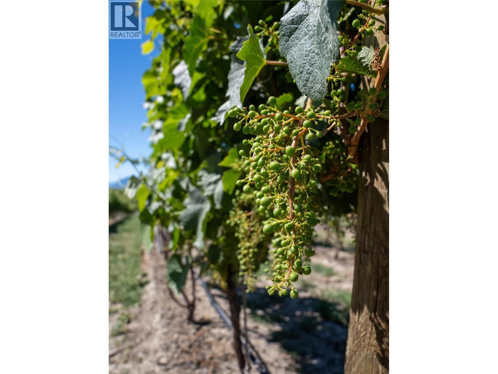 2805 AIKINS LOOP Image 88