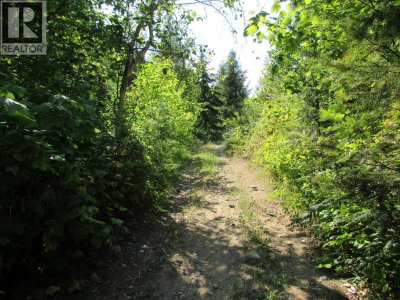 1365 Forest Road | Castlegar British Columbia | Slide Image Thirteen