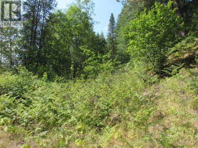 1365 Forest Road | Castlegar British Columbia | Slide Image Nineteen