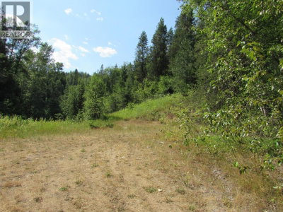 1365 Forest Road | Castlegar British Columbia | Slide Image Twenty-three