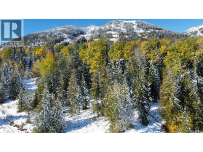 110 Topping Terrace | Rossland British Columbia | Slide Image Three