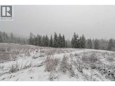 Image #1 of Commercial for Sale at Meadow Creek, Meadow Creek, British Columbia