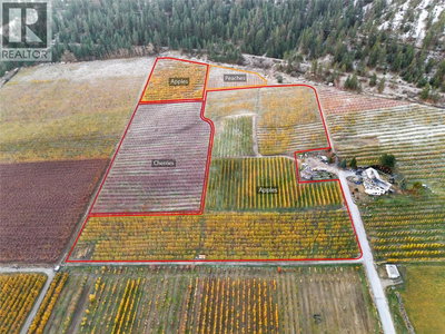 Tree Farms Orchards for Sale