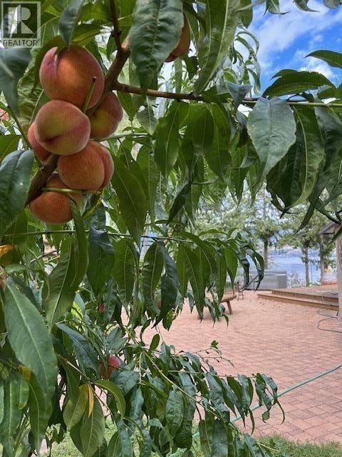 5715 LAKESHORE ROAD Image 50