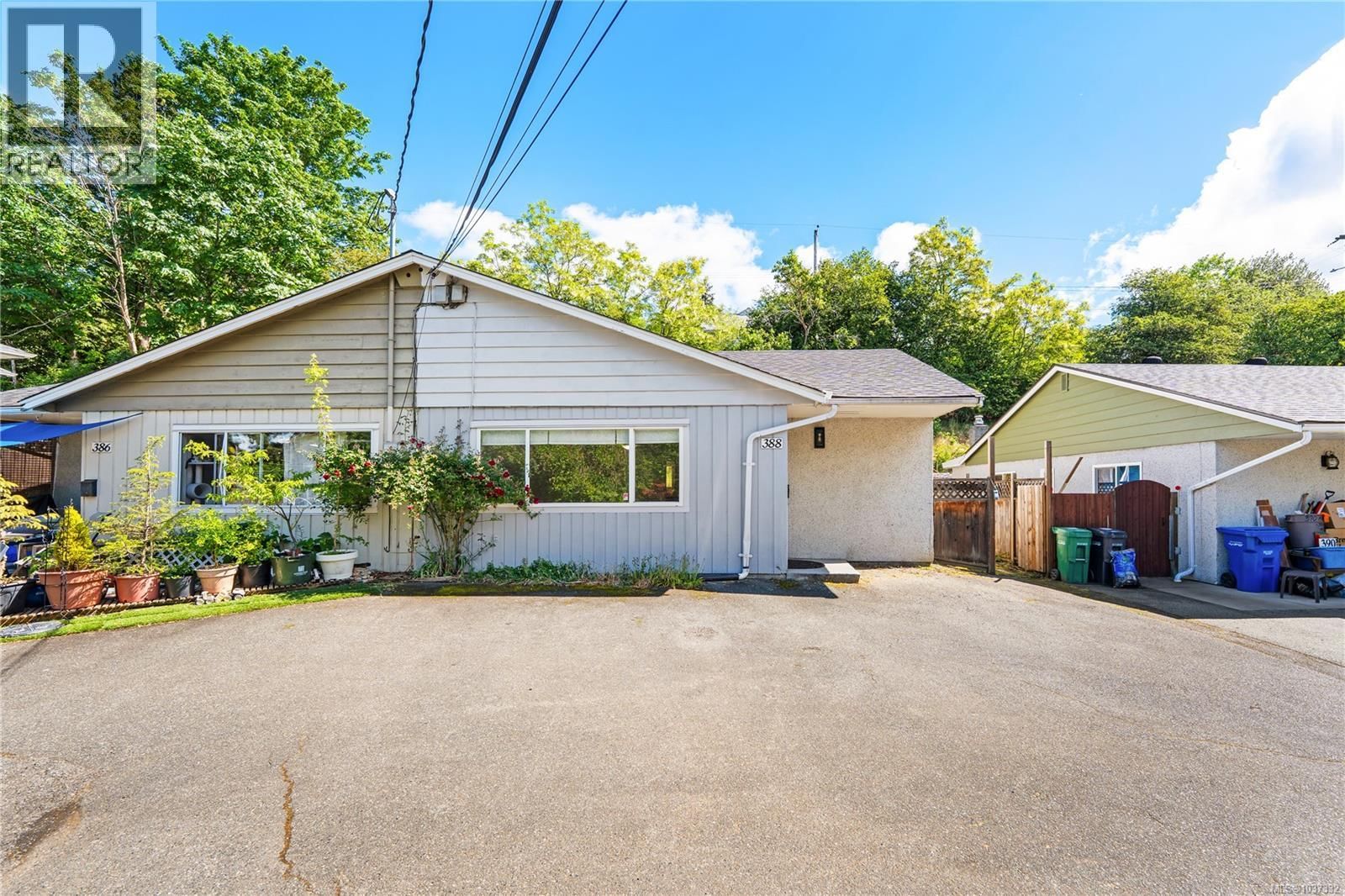 388 Pine Street property photo