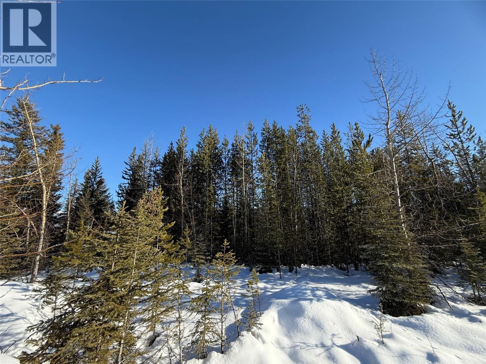 2 DALLAS Place, Elkford, British Columbia V0B 1H0