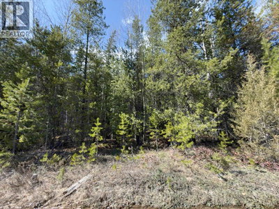 Commercial for Sale in British-columbia