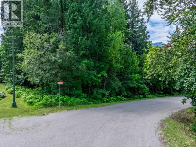 1571 Pratico Road | Revelstoke British Columbia | Slide Image Two