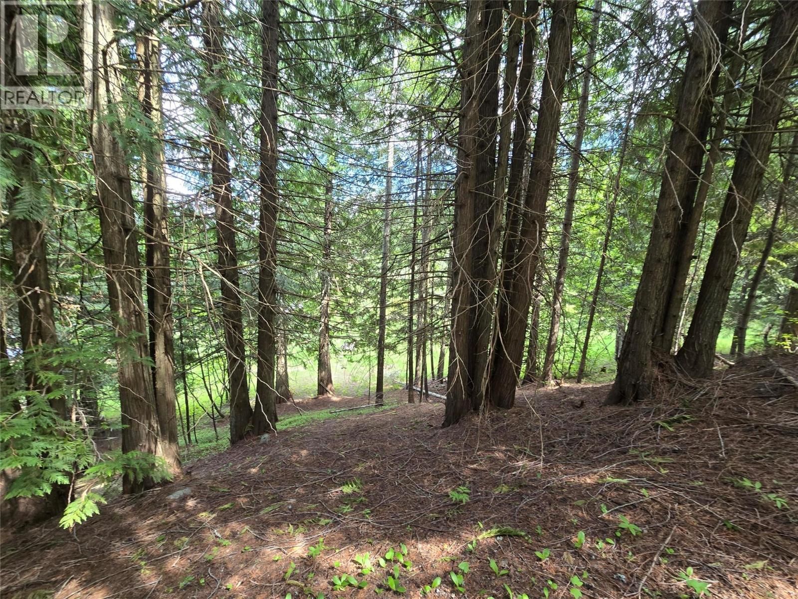  Deer Park Drive, Rossland, British Columbia V0G 1Y0