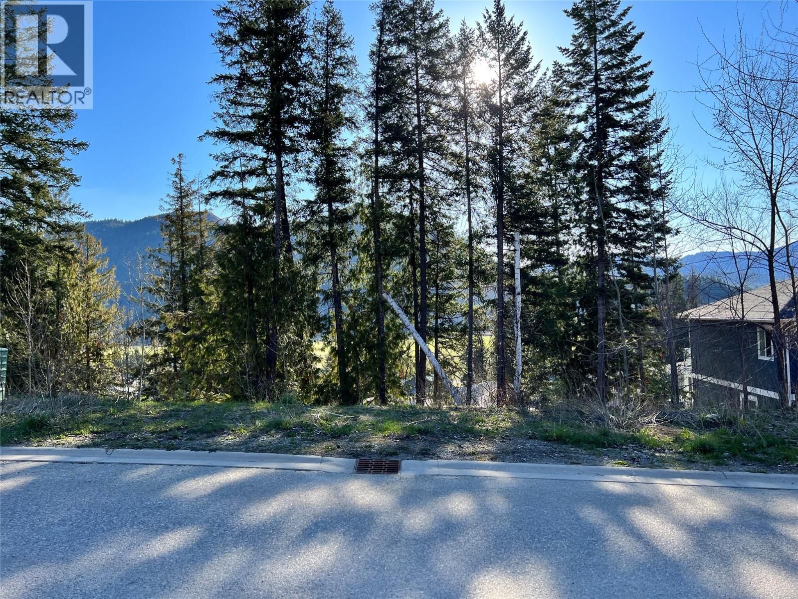 2541 Cedar Ridge Court, Lumby, British Columbia V0E 2G0