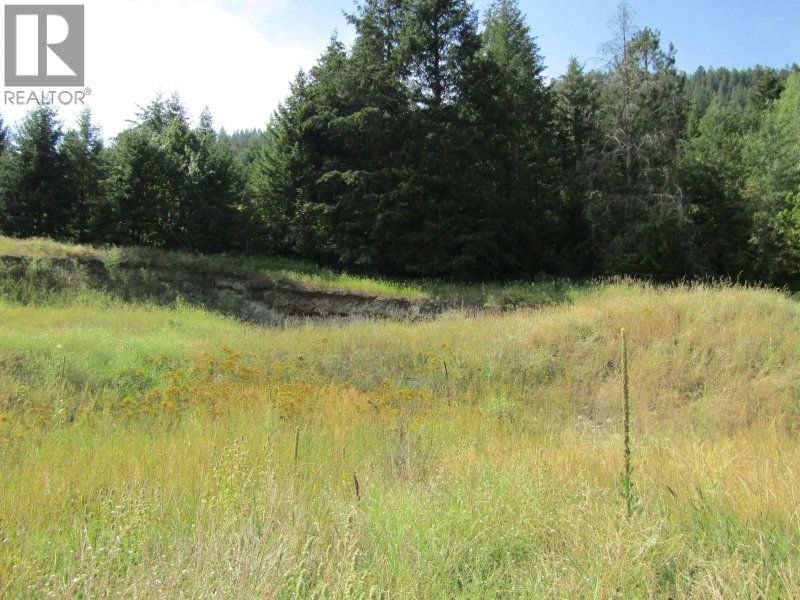 8841 Riverside Drive Grand Forks British Columbia, V0H 1H0 - Vacant Land For Sale
