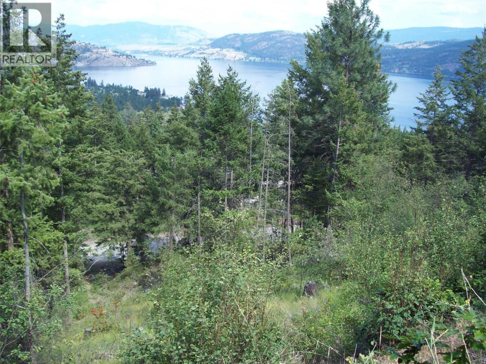 358 MOUNTAIN DRIVE Image 3