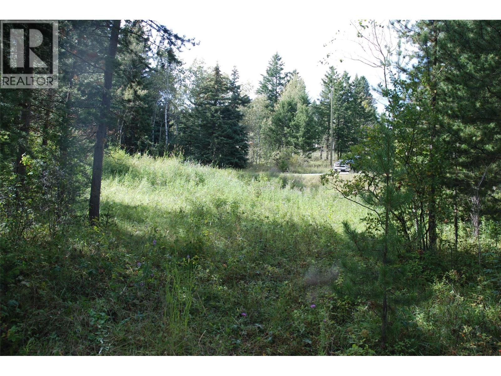 396 Wild Rose Drive, Merritt, British Columbia V1K 1B8